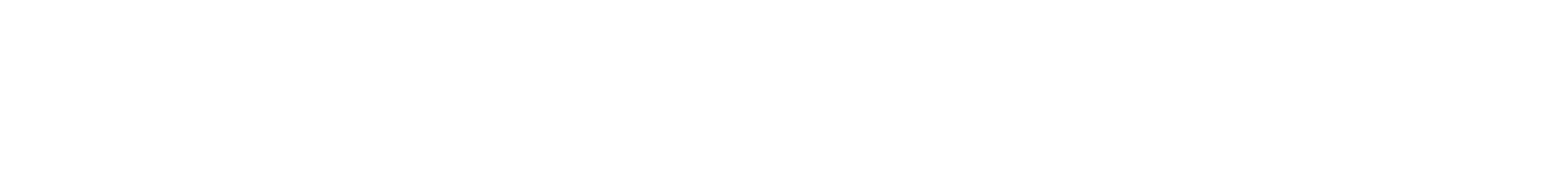 WISEsoluzioni